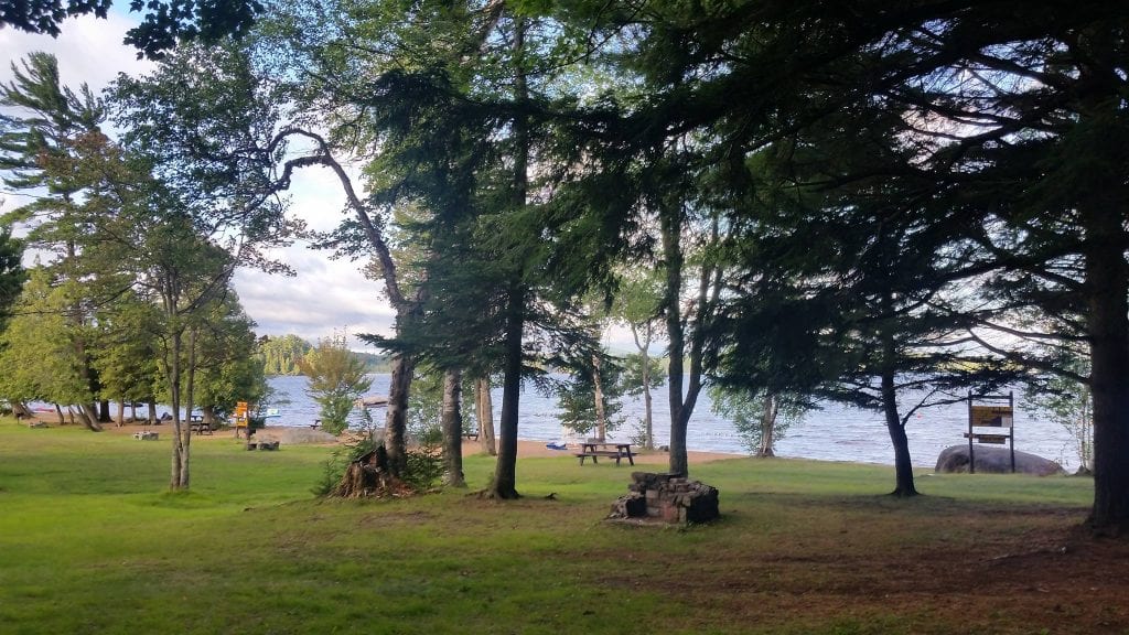 Brown Tract Pond picnic area