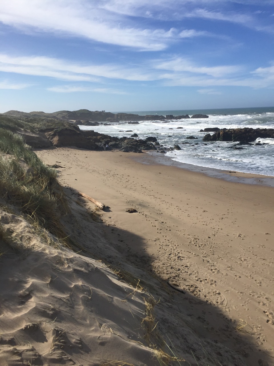 Campground Review: Santa Cruz North/Costanoa KOA near Pescadero, CA