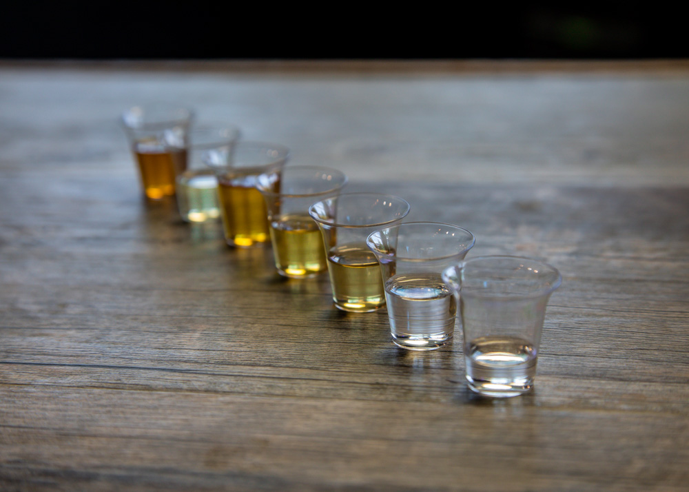 Six Days on the Kentucky Bourbon Trail with Kate Dunbar