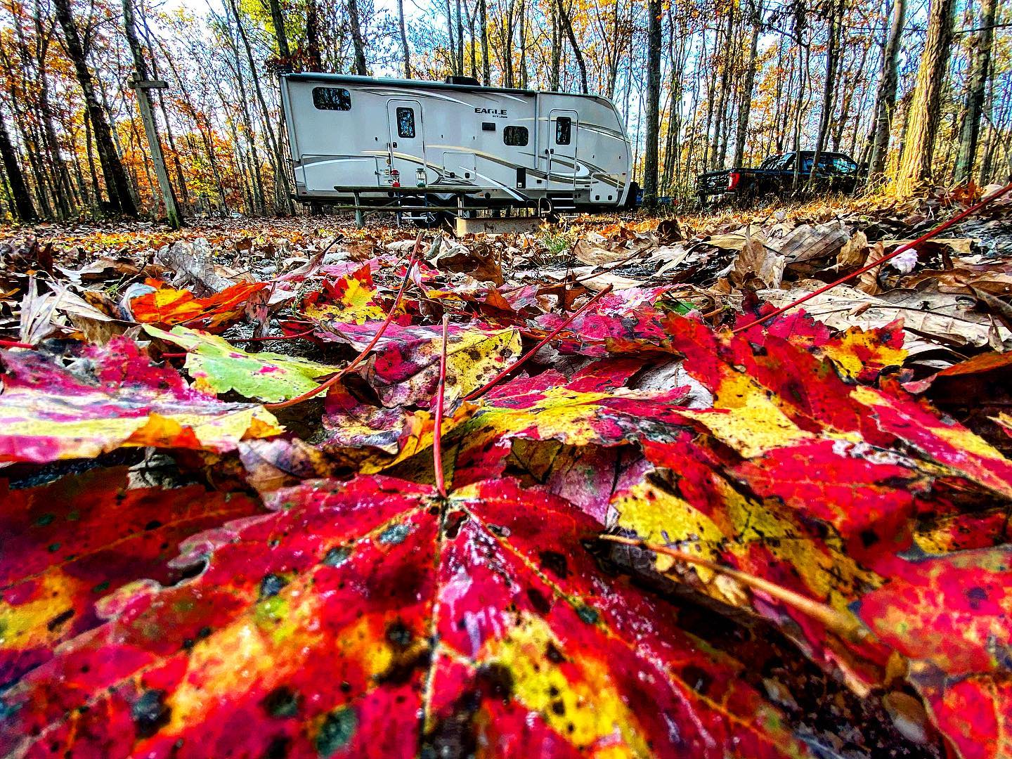 Tips for Celebrating the Holidays at the Campground