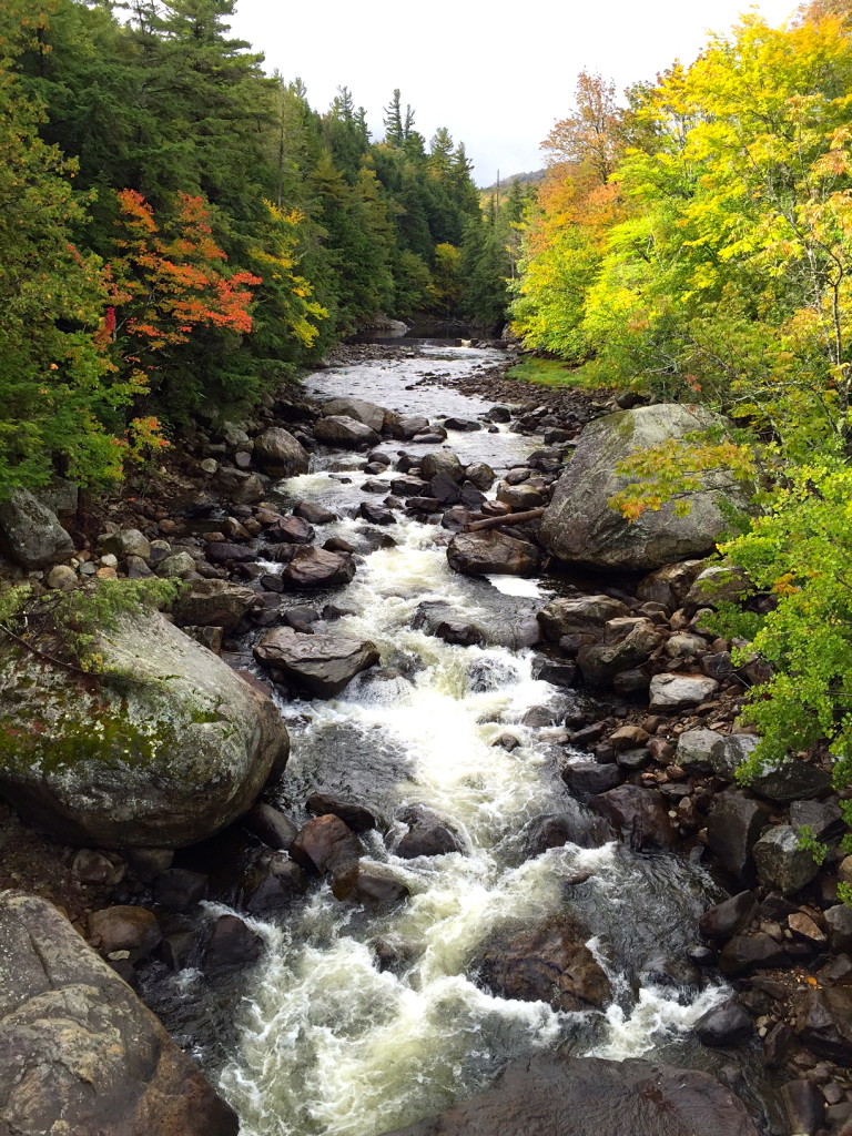 Underrated Camping Destinations: New York State