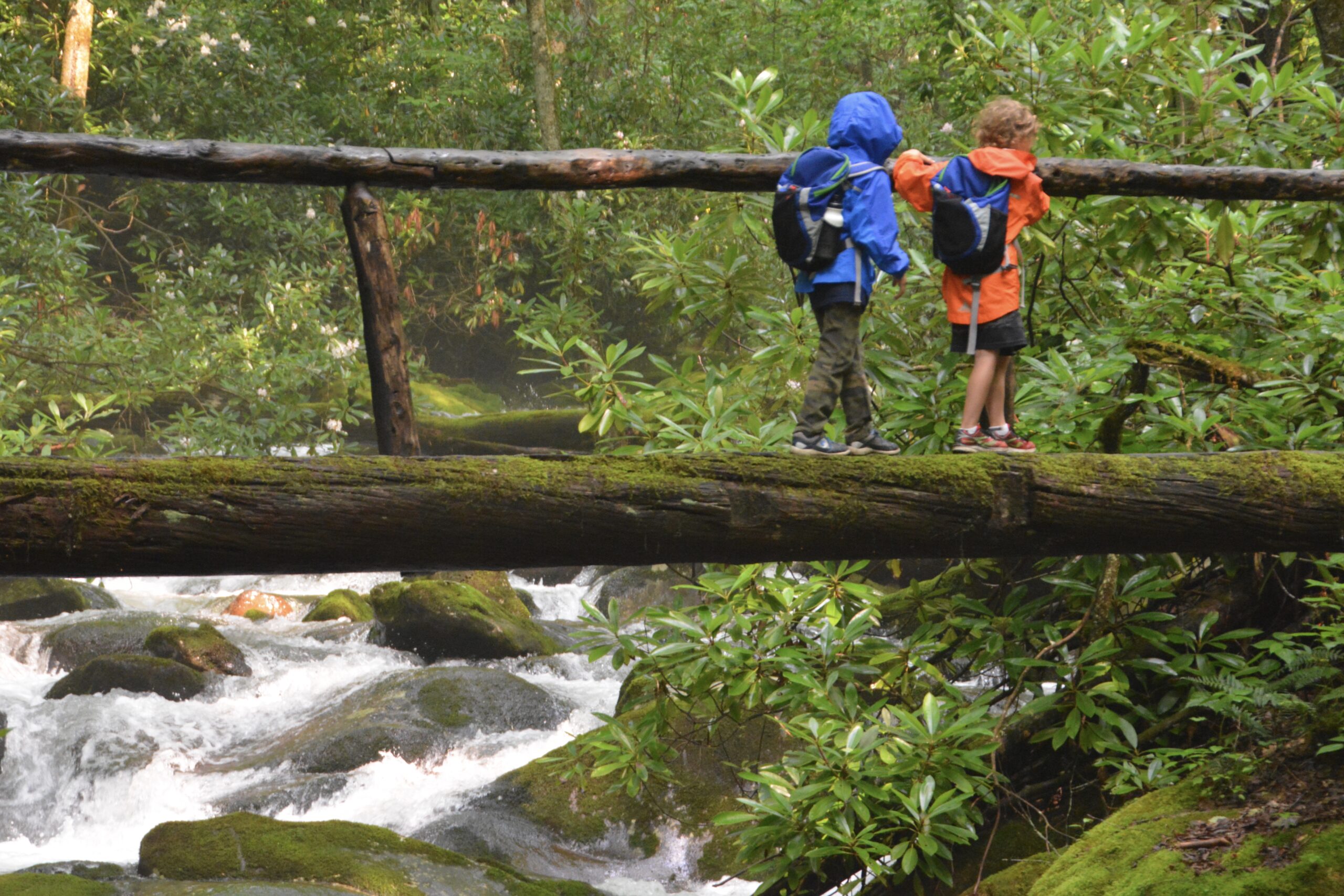 5 Favorite National Park Hikes