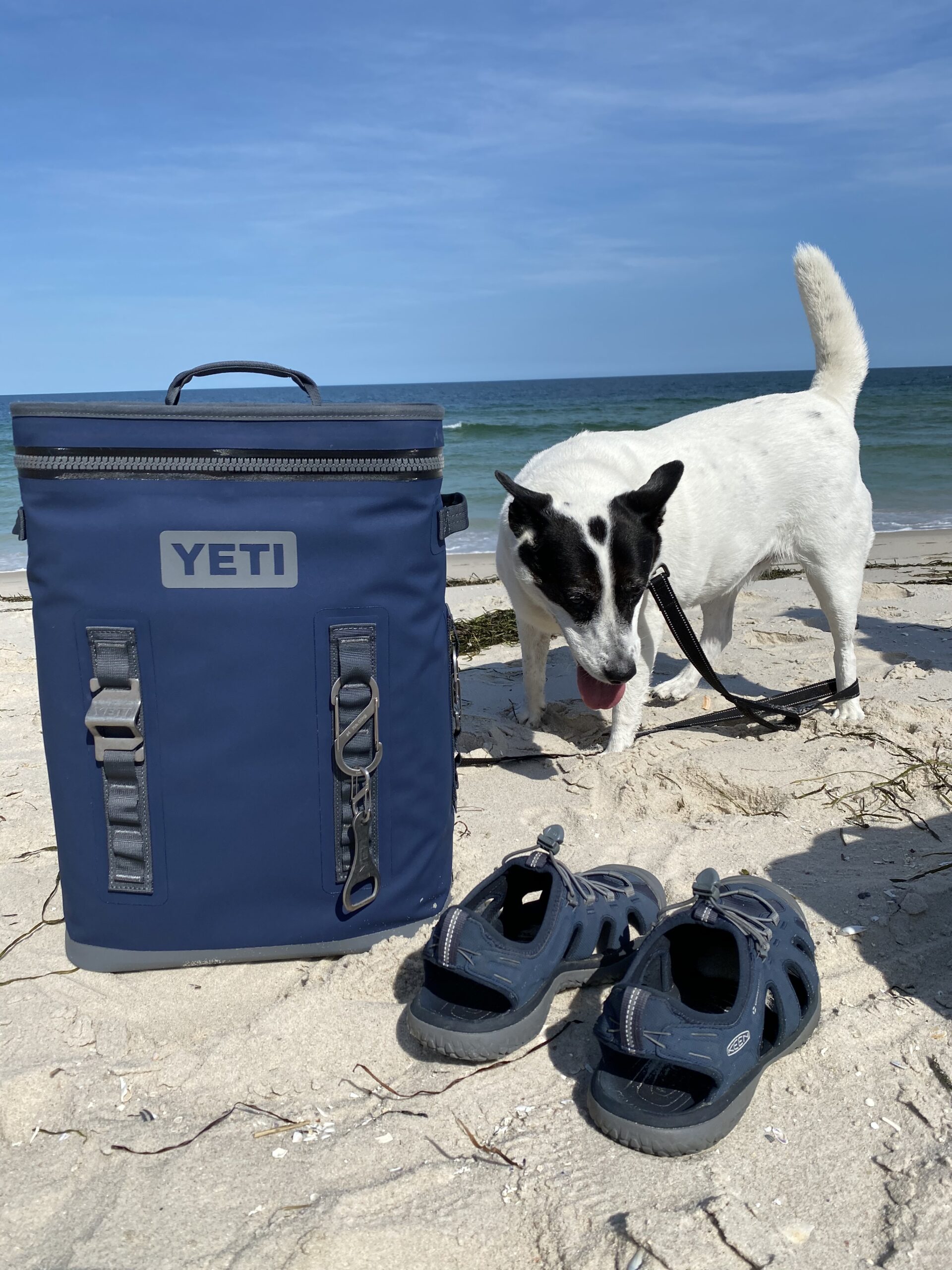 Jeremy’s Picks and Opinions, August 2020