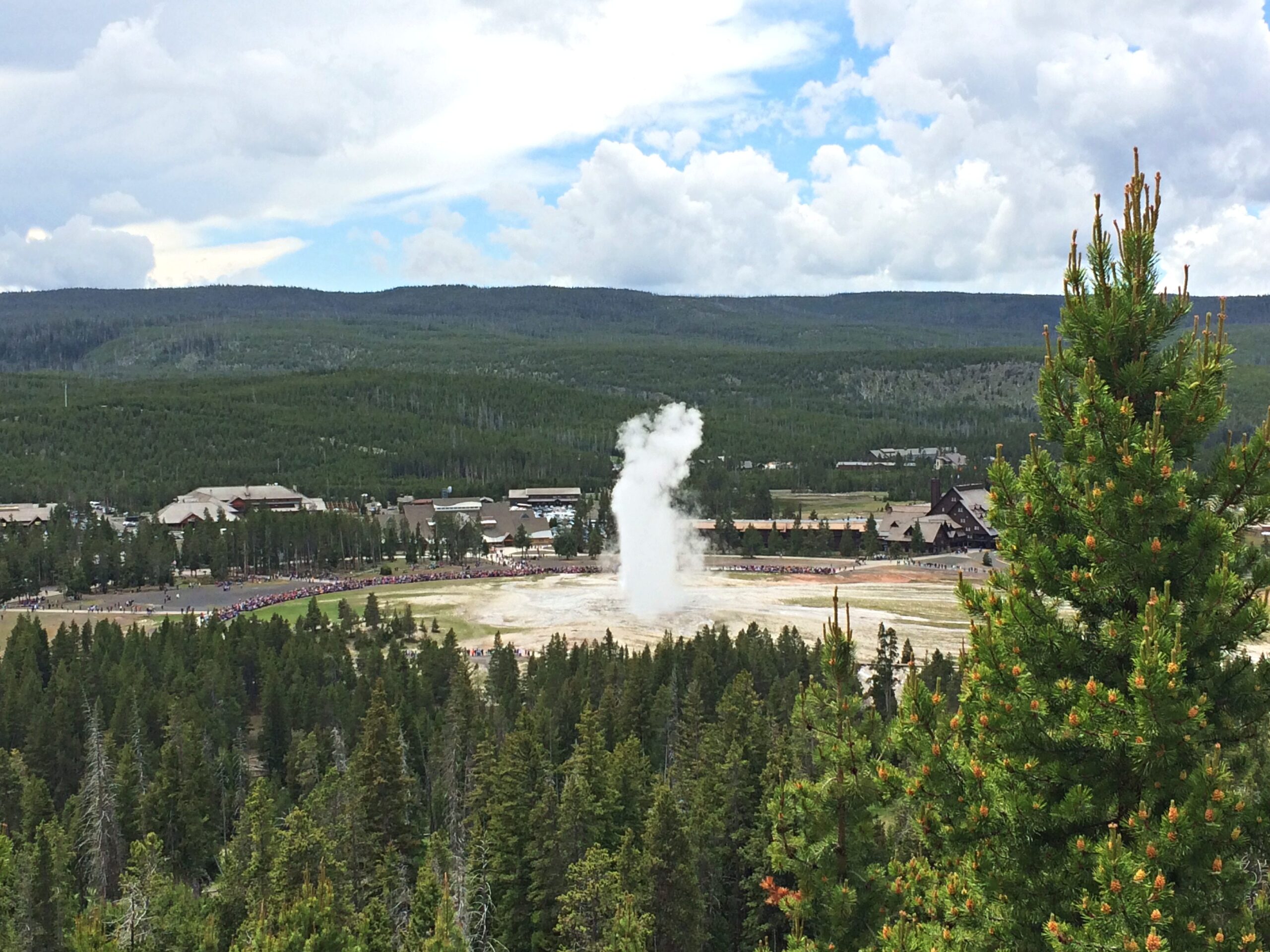 Planning our Summer 2021 Trip to Yellowstone National Park
