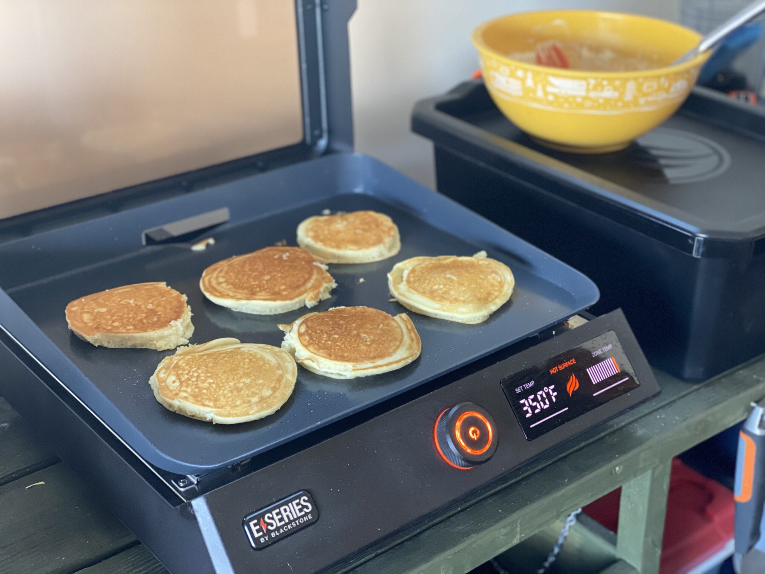 Blackstone E-Series 17 Inch: 8 Reasons Why You Might Want It for Your RV