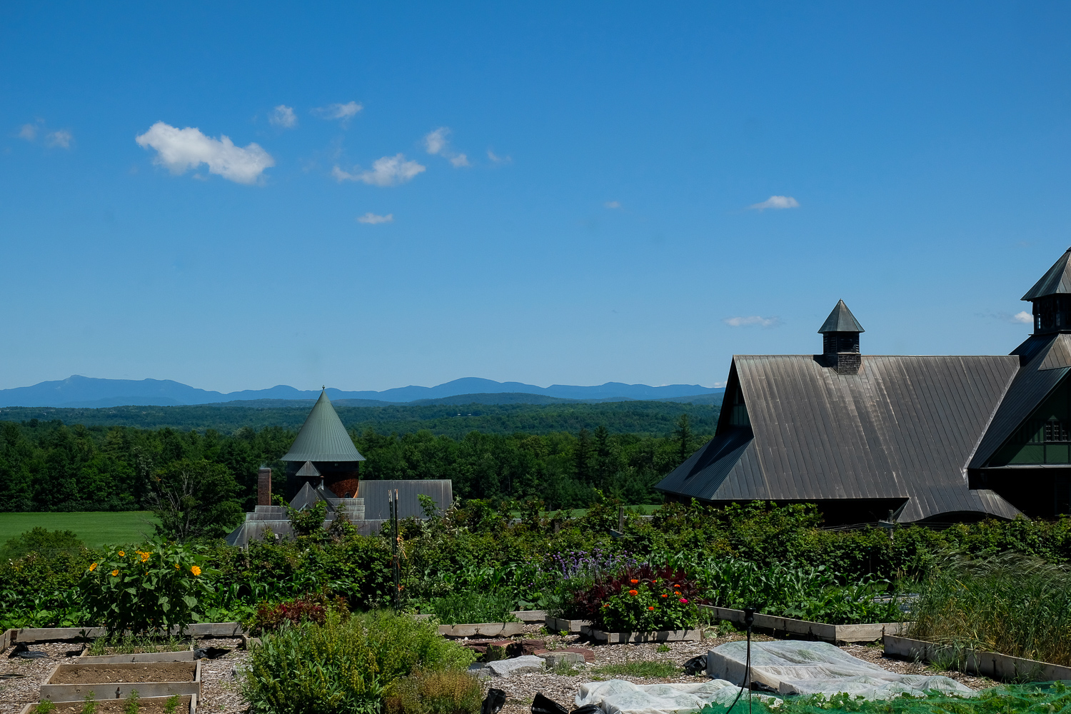 Campground Review! North Beach Campground: Burlington, VT