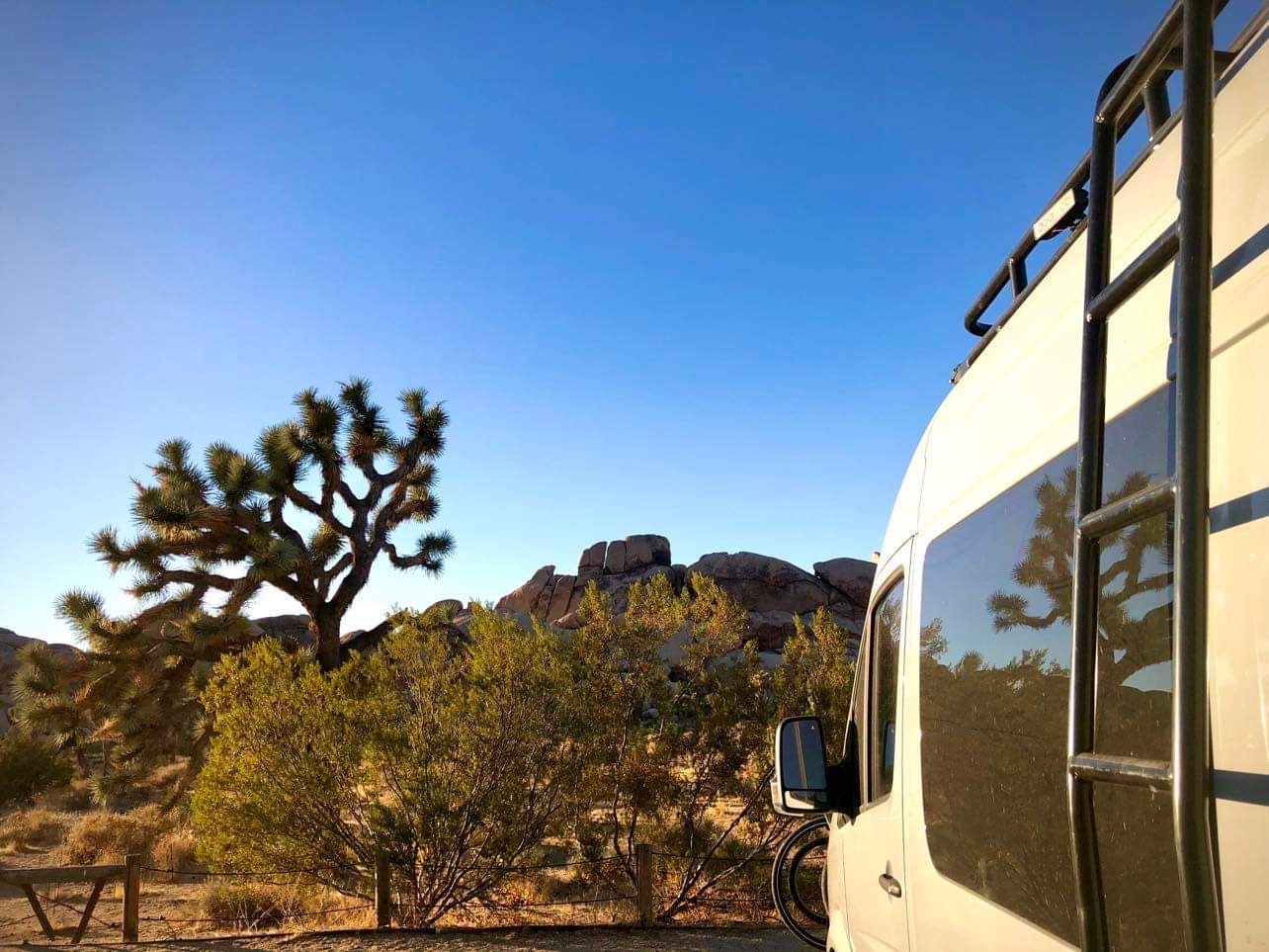 Joshua Tree National Park: Spring Desert Camping (Pt. 1)