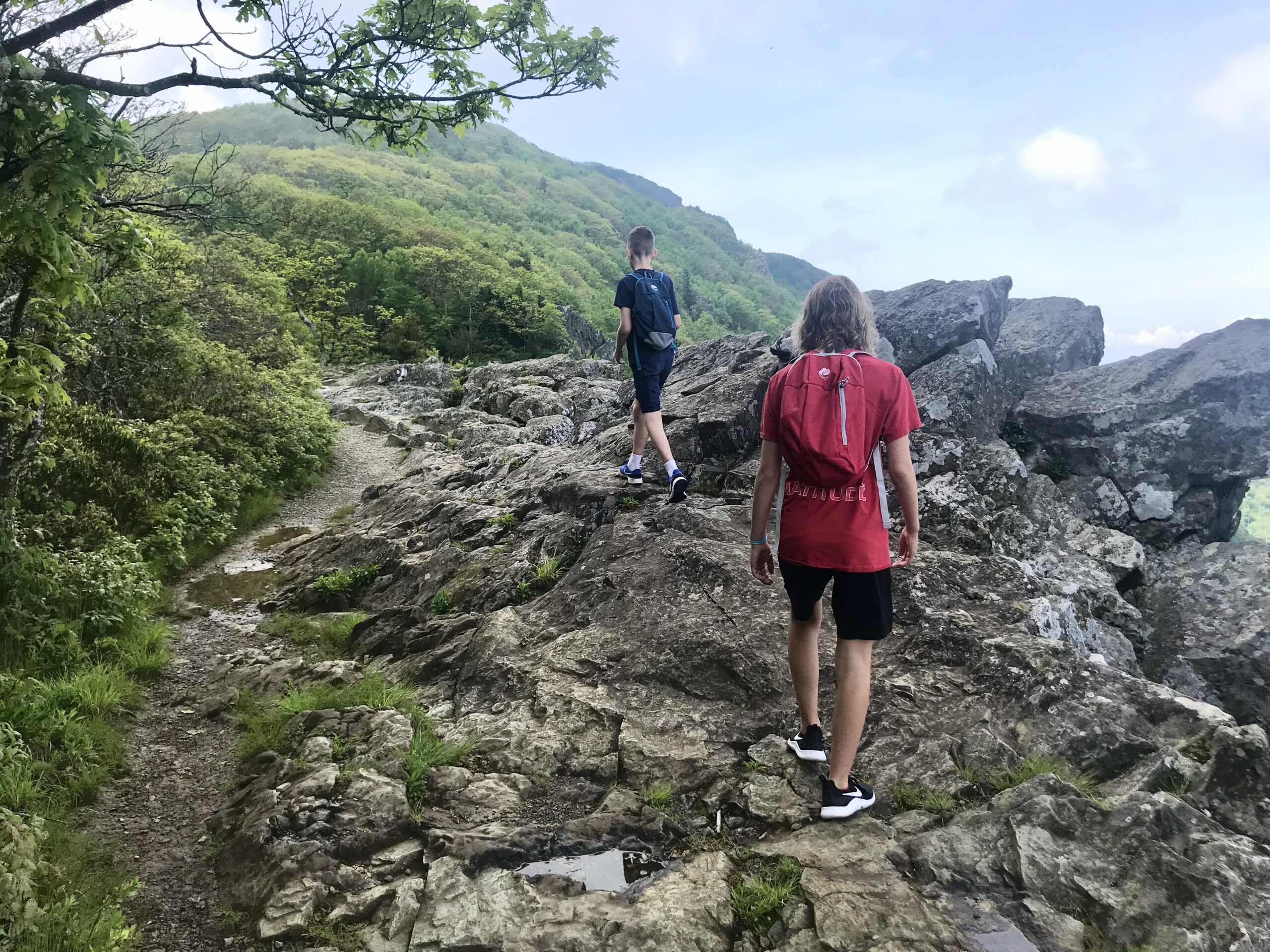 12 Tips for Making Hiking With Kids Fun (and Not Miserable!)