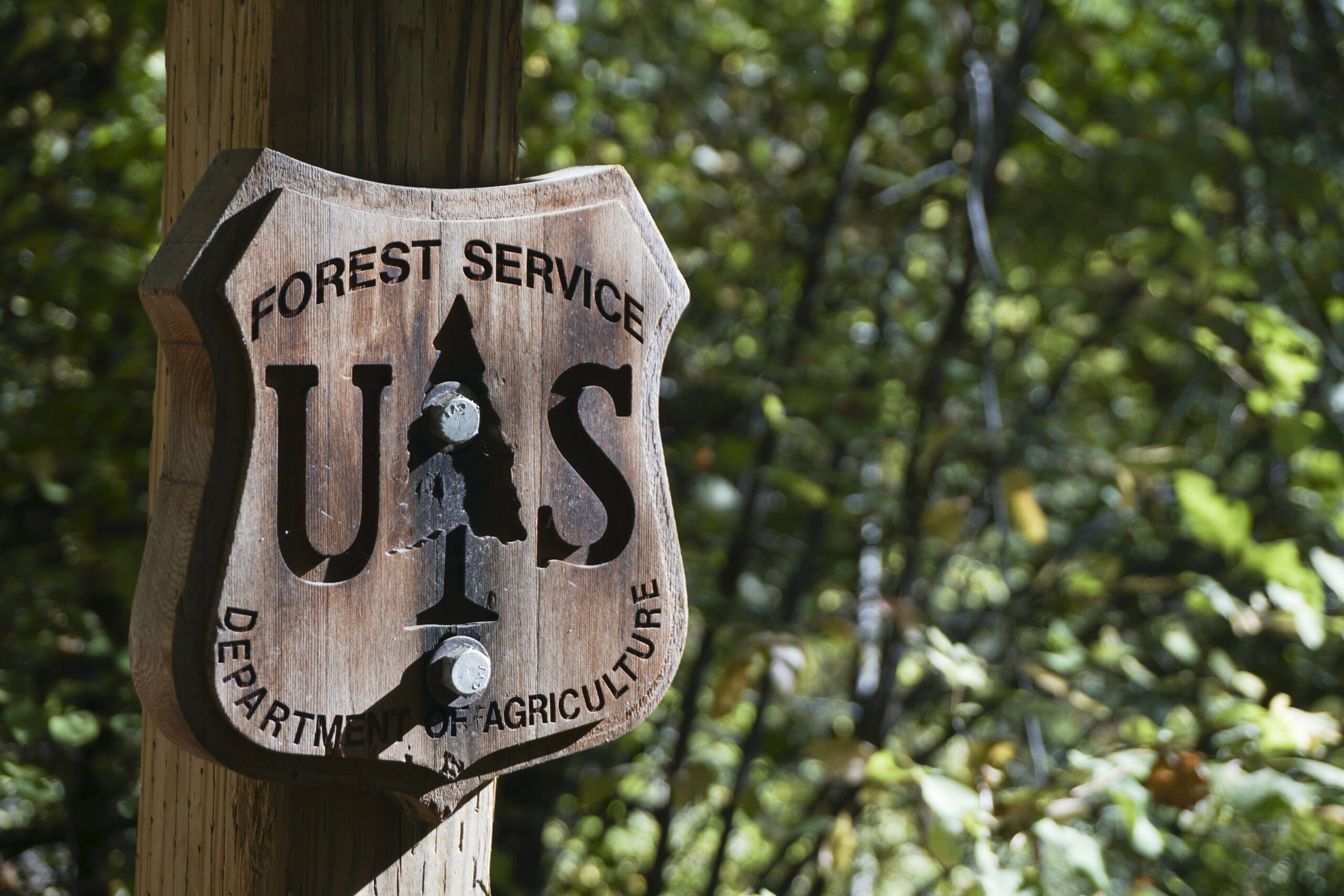 How to Camp Responsibly on Public Land With Greg M. Peters
