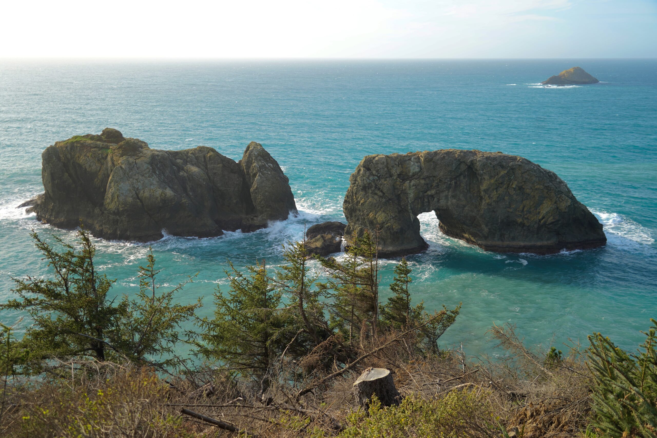 Underrated Destinations: RVing in Oregon