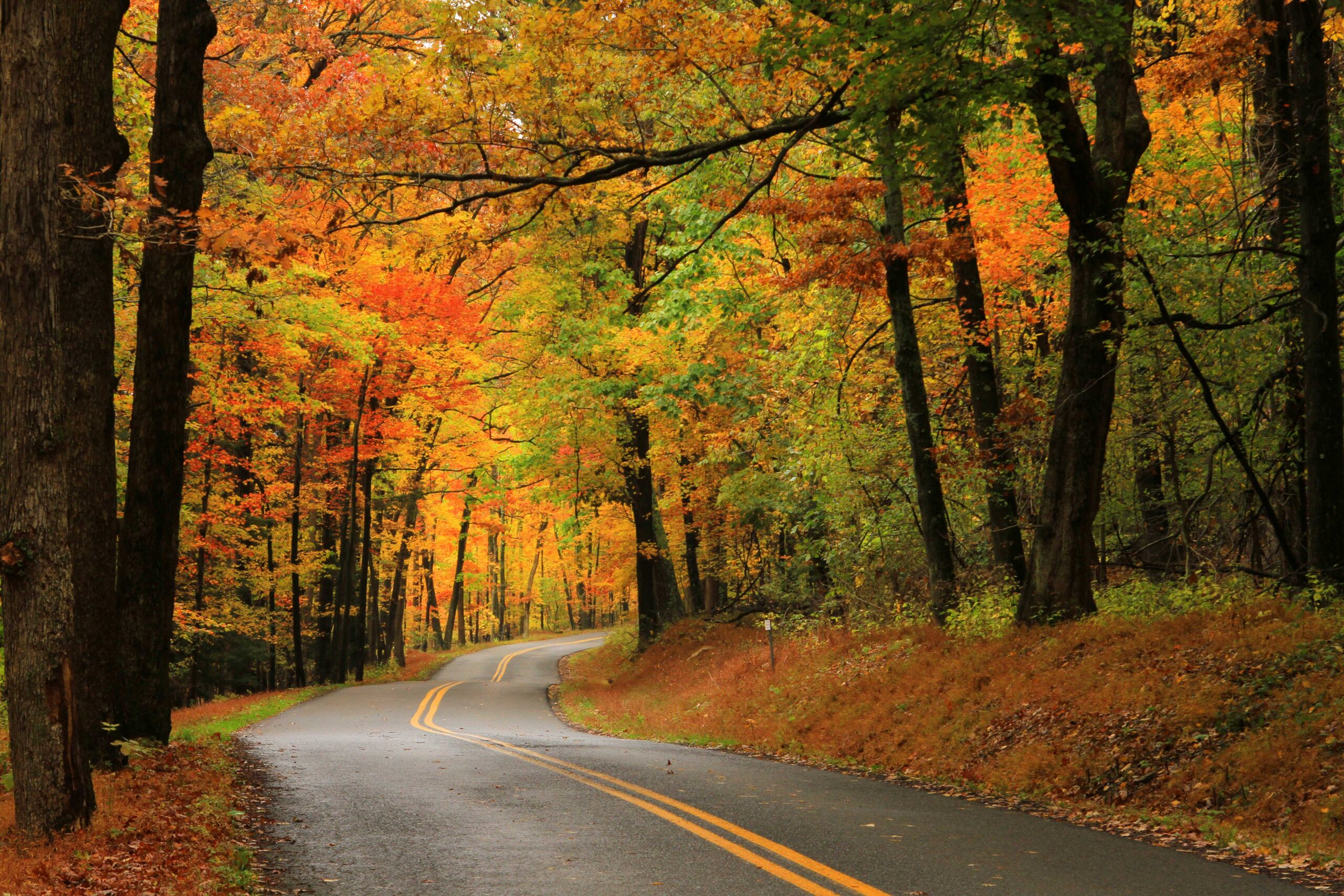 Roadtripping on Maryland’s Scenic Byways
